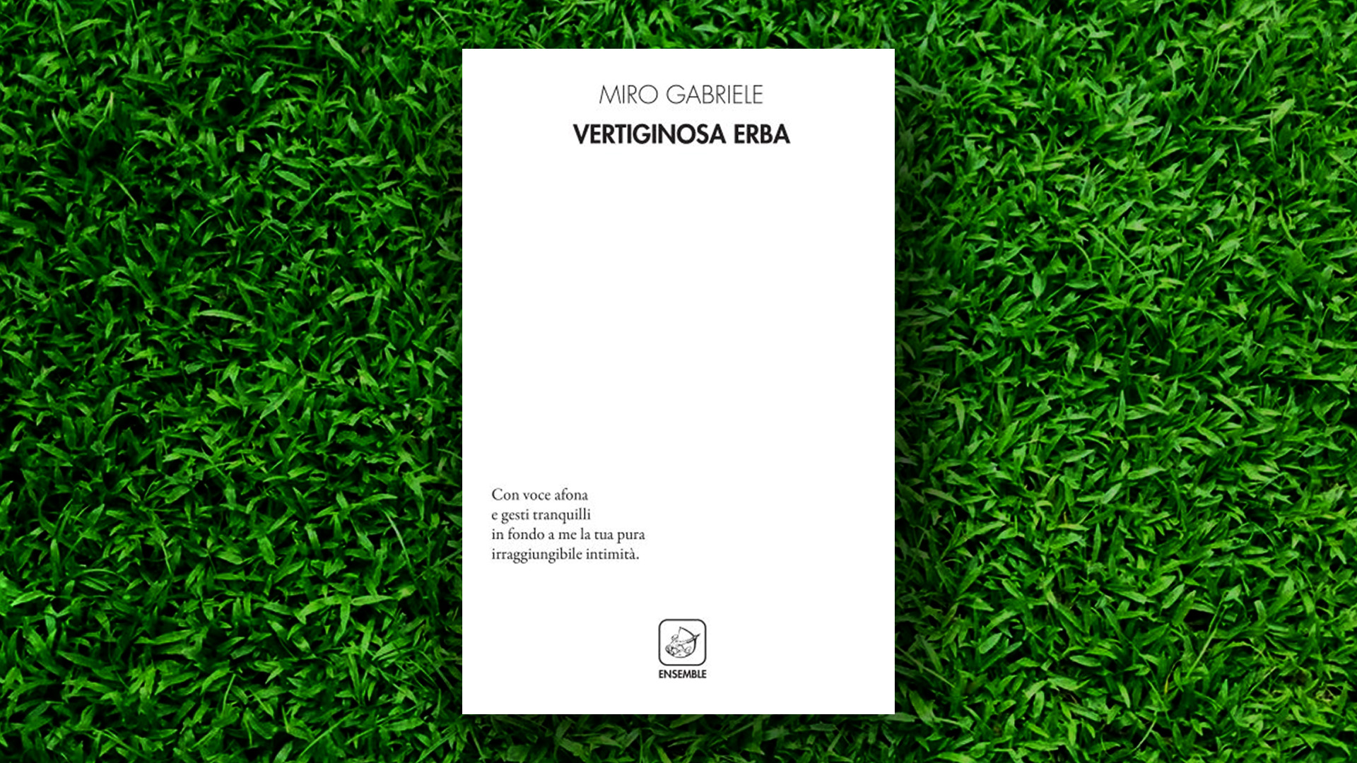 miro gabriele