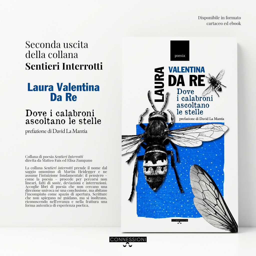 CINQUE LIBRI DI POESIA PER RALLENTARE L'ESTATE (di Isabella Paola Stoja) 4 image 13