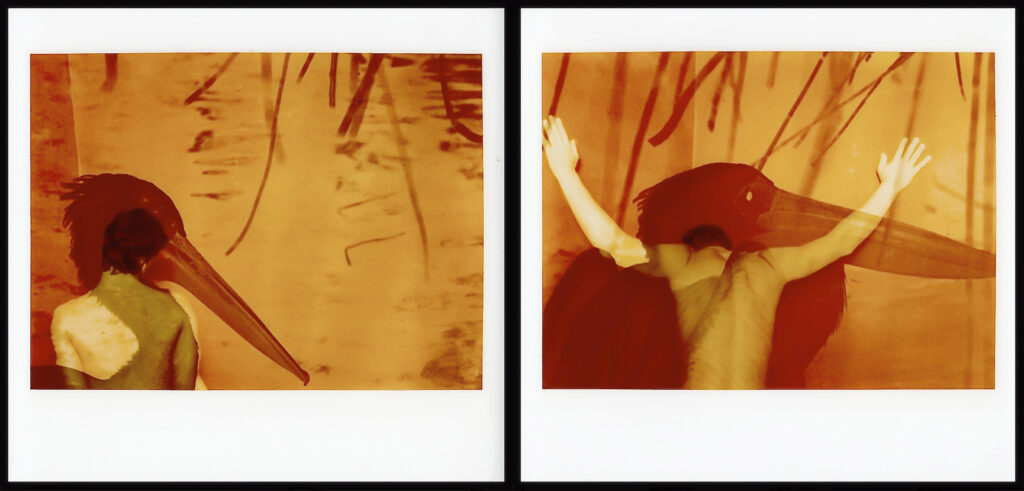 LA FOTOSTORIA: LE KODAK INSTANT ANNI ’70/’80 (di Augusto De Luca) 6 Kodak Instant Augusto De Luca .14
