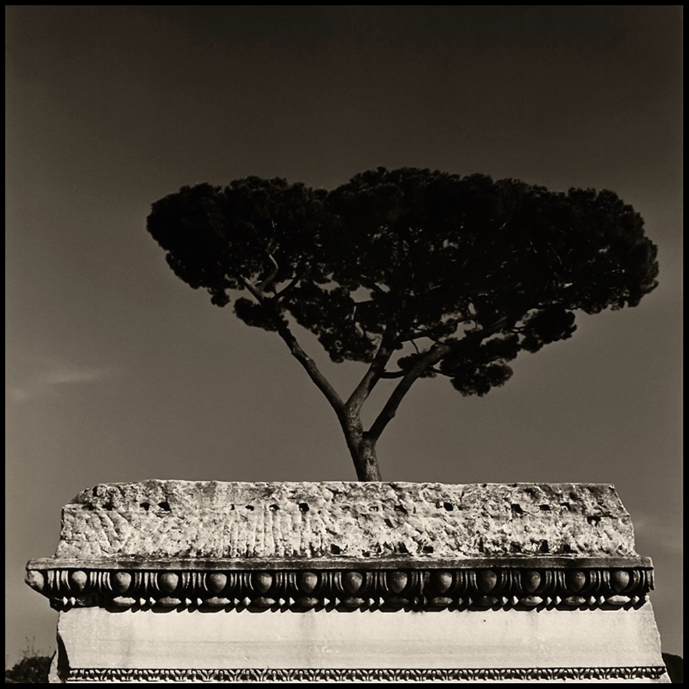 Roma di Augusto De Luca 2
