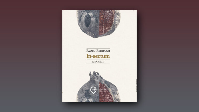 RECENSIONE – PAOLO PEDRAZZI, IN-SECTUM (di Mario Marchisio)